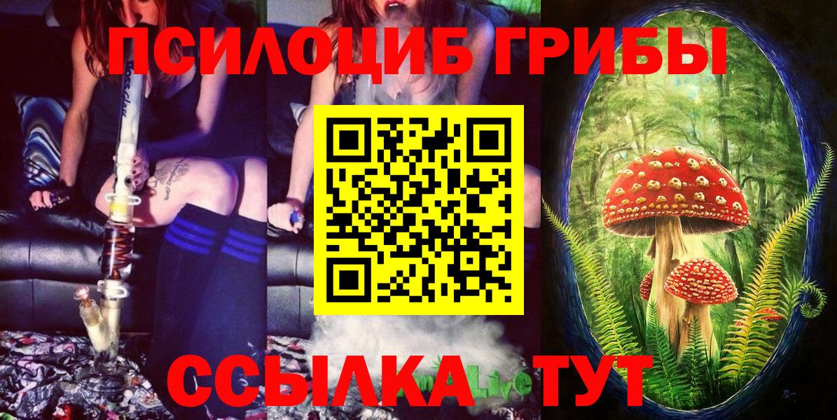 Элиста  Галлюциногенные грибы MAGIC MUSHROOMS  Вход с VPN 