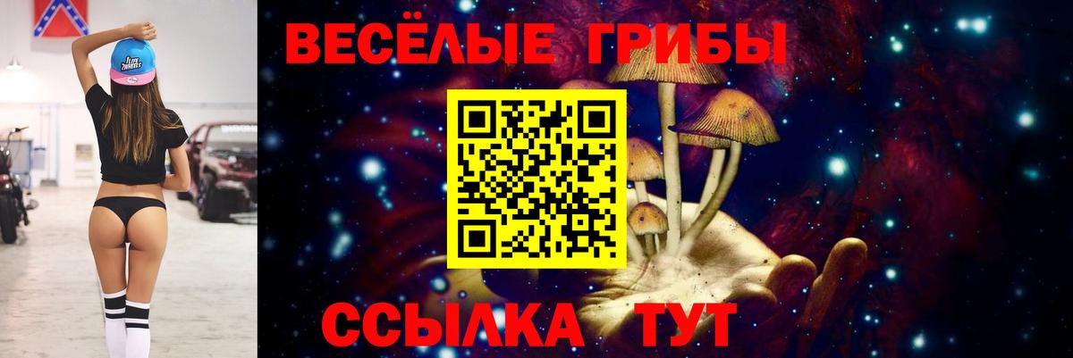 Alpha PVP Элиста